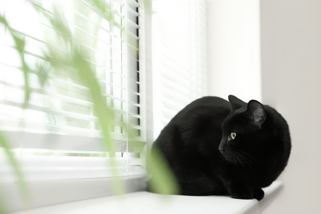 How to clean different types of blinds